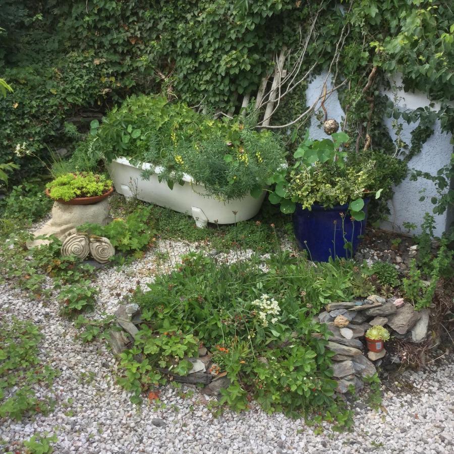 Ferienwohnung Hering In Dill Exterior photo