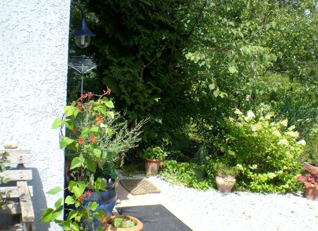 Ferienwohnung Hering In Dill Room photo