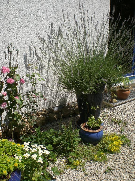 Ferienwohnung Hering In Dill Room photo